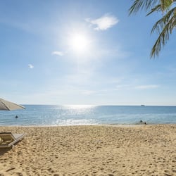 Accommodatie ligt op het strand