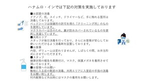 In-room safe, free WiFi, bed sheets - Hanamuro inn Akajima (Zamami)