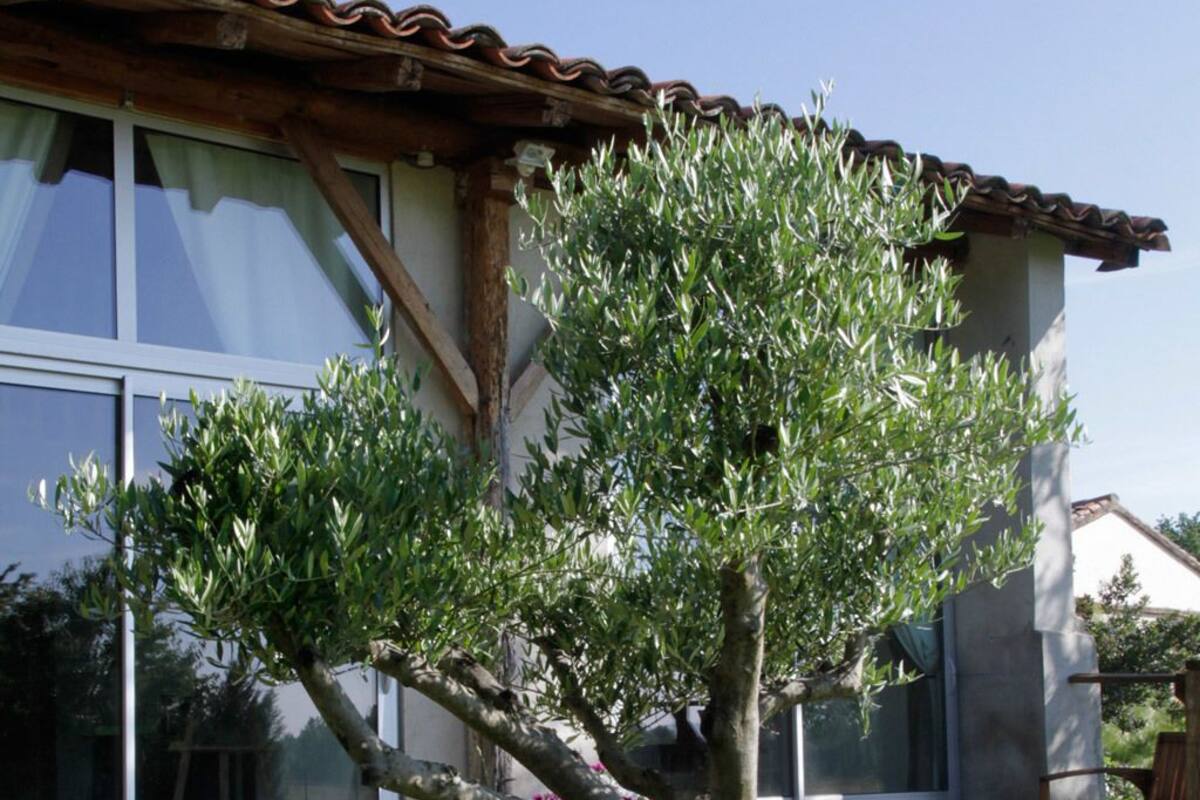Quadruple Room (Montauban) | View from room
