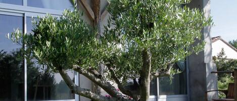 Quadruple Room (Montauban) | View from room