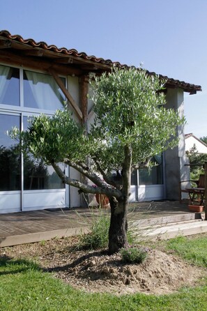 Un arbre se trouve devant un bâtiment doté de grandes fenêtres et d’un toit recouvert de tuiles.