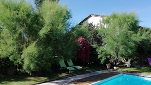 Una piscina con cubierta de baldosas, rodeada de vegetación exuberante y un edificio al fondo.