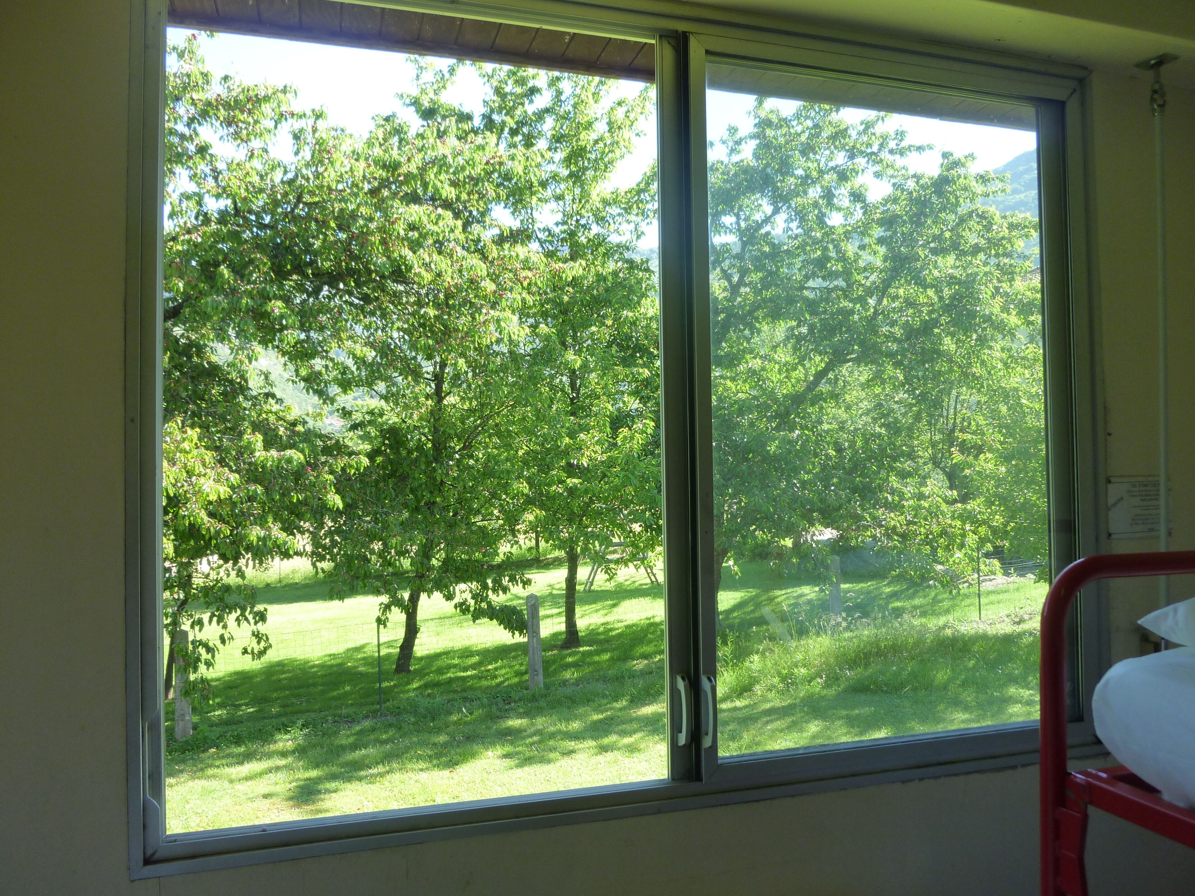 Economy Single Room, Non Smoking | Pemandangan dari bilik