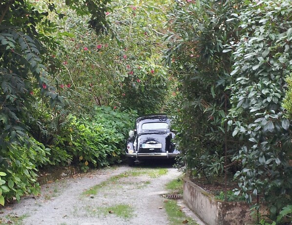 A narrow gravel path leading to a black car parked in a lush, green area. - Posada La Panadería (Castaneda)