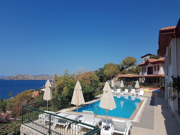 Outdoor pool, pool umbrellas, pool loungers