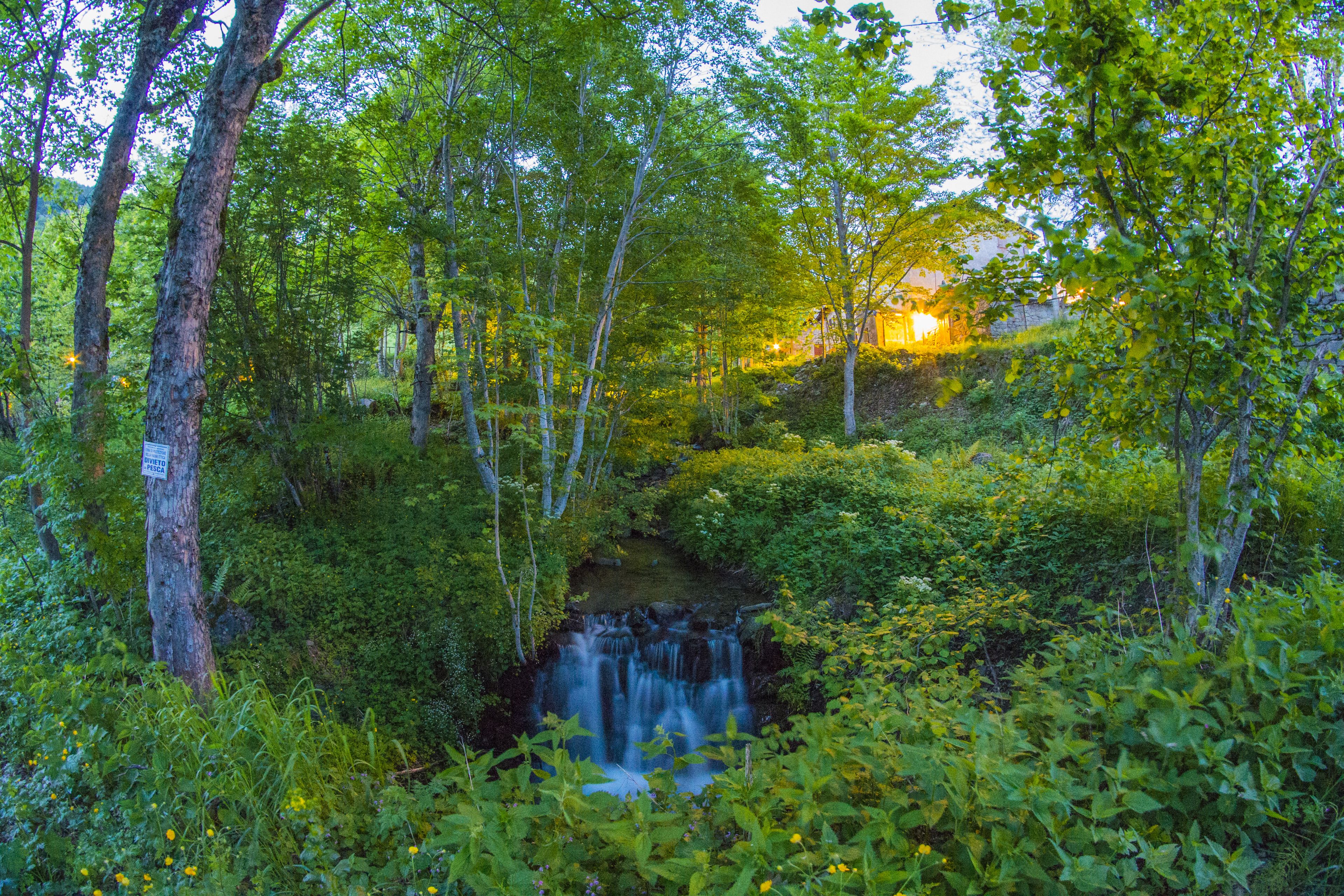 Un bosque frondoso con una cascada y abundante vegetación.