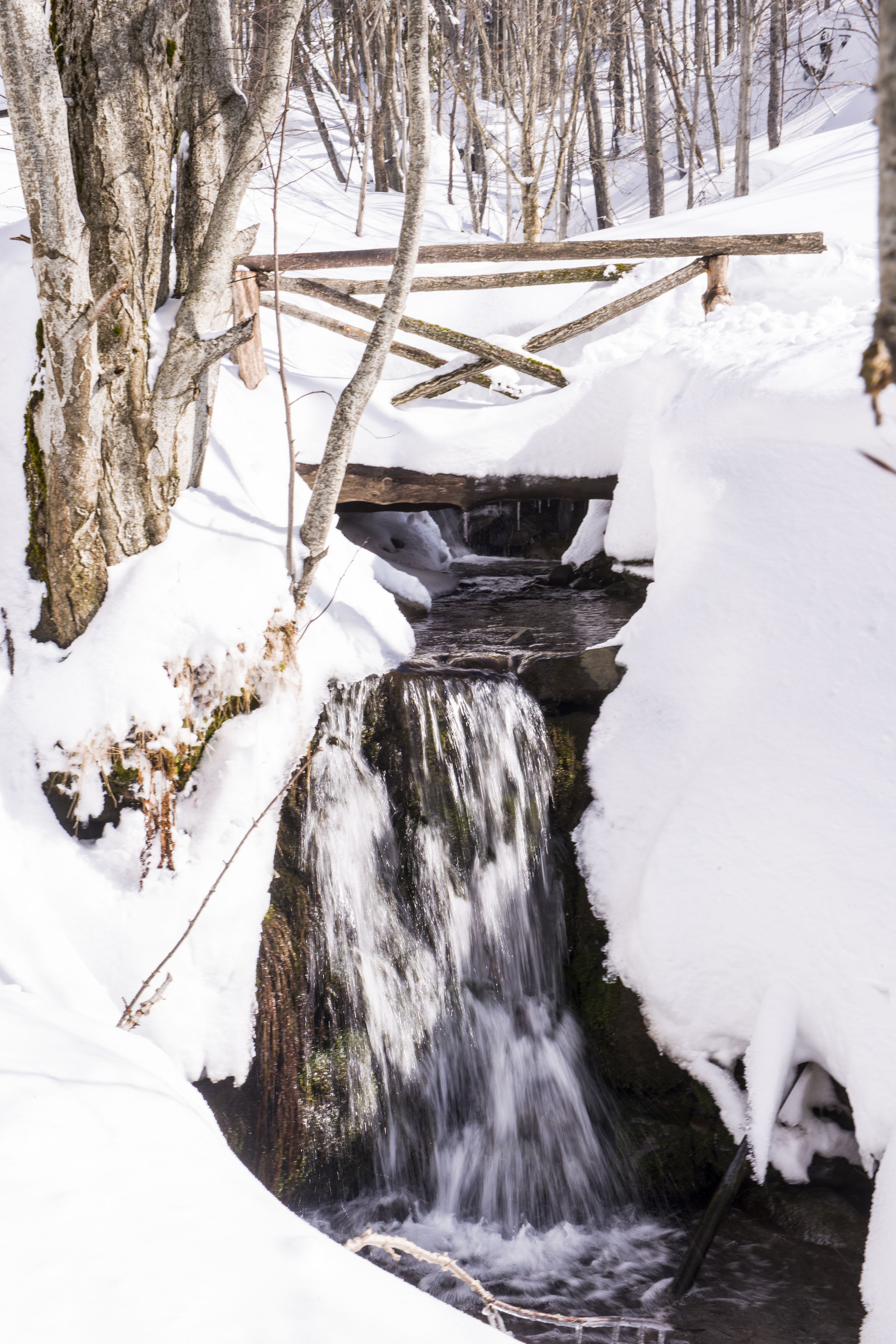 Une cascade enneigée, située dans une zone boisée, est traversée par un pont en bois.