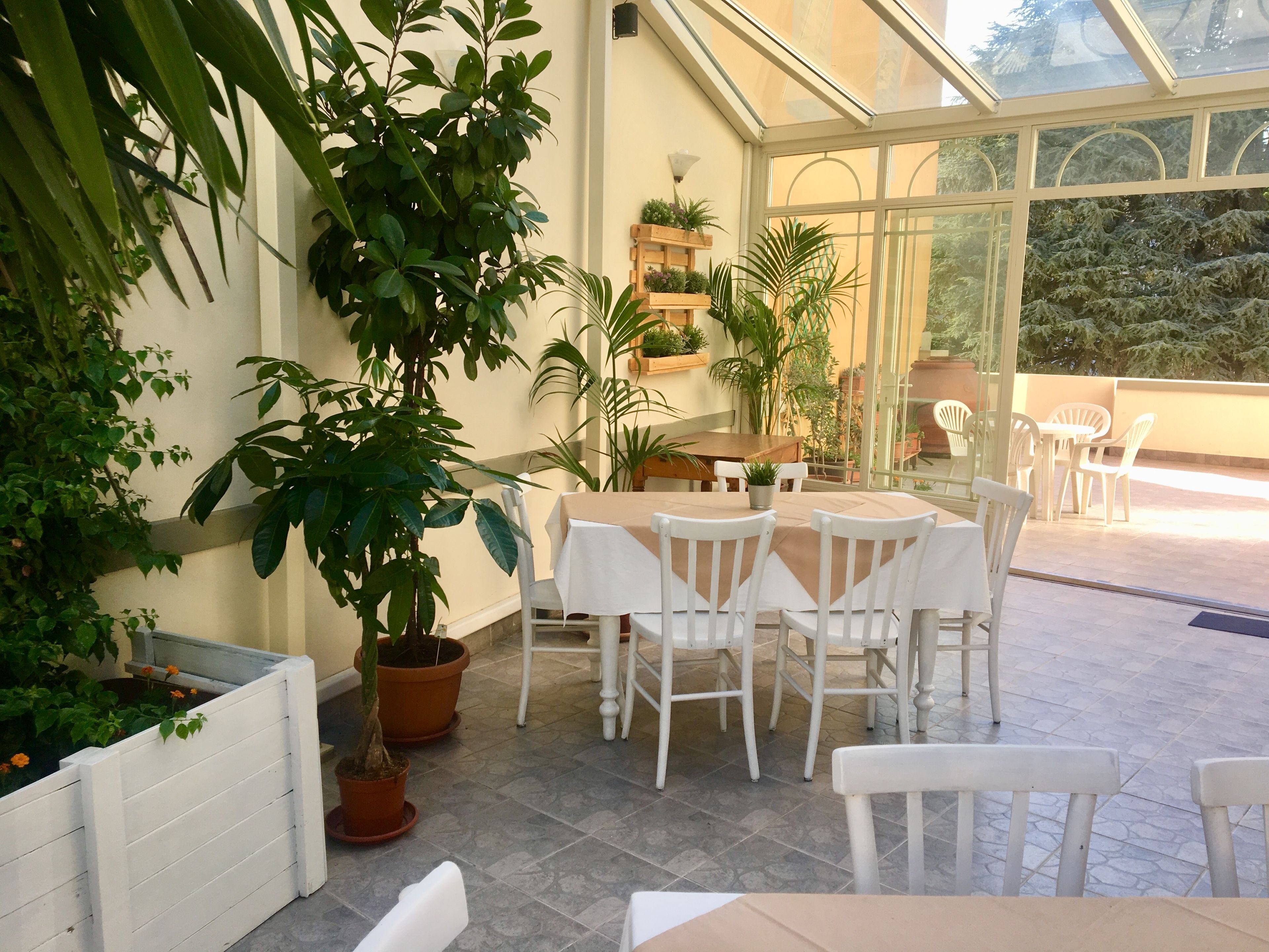 Un patio soleado con una mesa y sillas, rodeado de plantas en macetas y un cerramiento de vidrio.