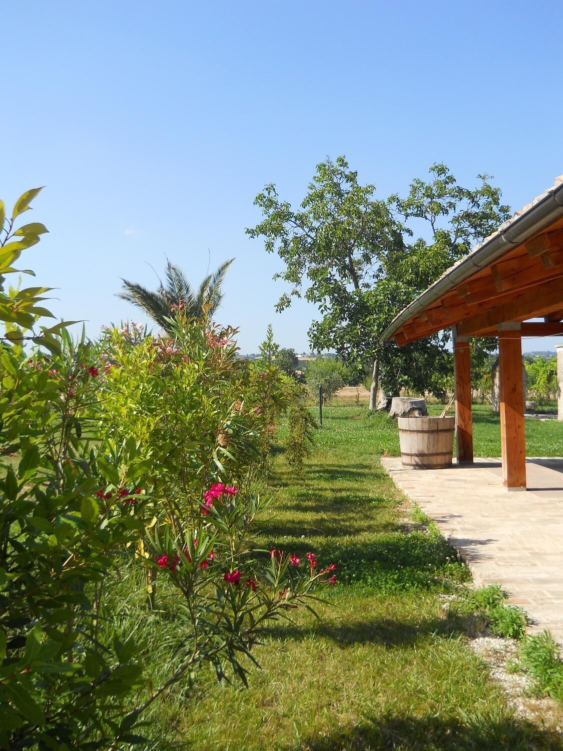 Khuôn viên nơi lưu trú