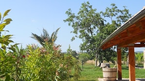 A covered outdoor area with a concrete pathway, surrounded by lush greenery and flowering plants. - Agriturismo Bassarì (Recanati)
