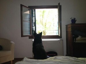 1 bedroom, desk, cots/infant beds, free WiFi - Agriturismo Barchessa (Este)