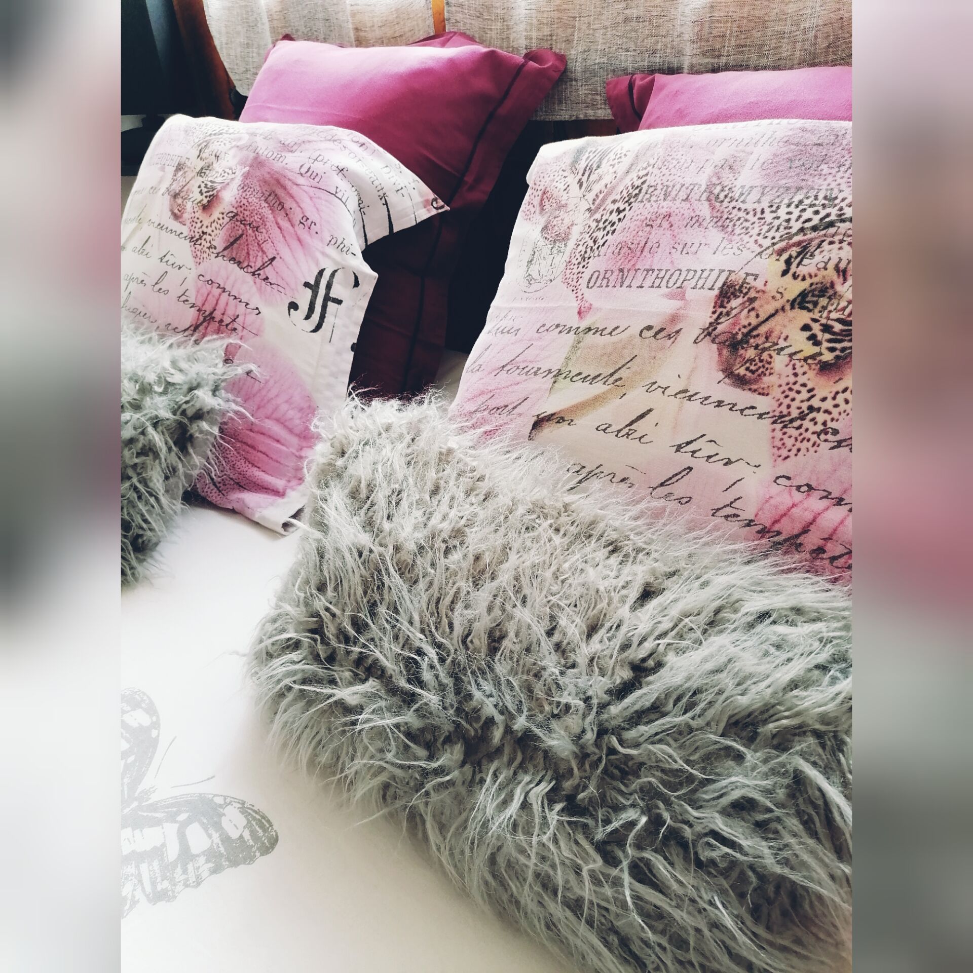 Photo - Le Clos des Mylandes