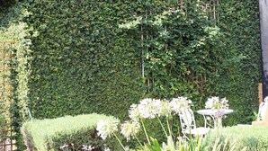 Un giardino con un muro ricoperto di edera, un tavolino con sedie e diverse piante fiorite.
