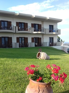 Property grounds - Aegean Blue Studios (Kassandra)