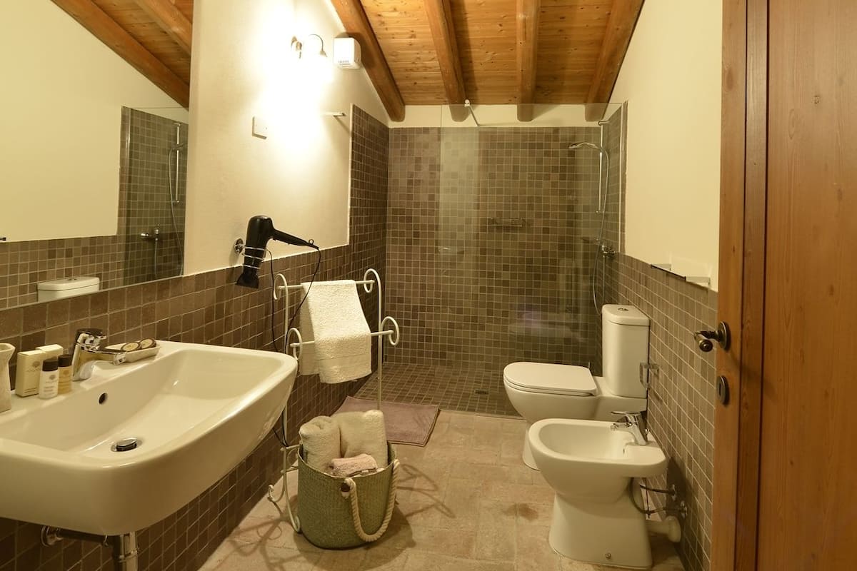 Een badkamer met een houten plafond, dakraam, een groot wastafel, toilet en een bidet.