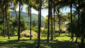 Garden - Villa La Cocoteraie (Le Morne Brabant)