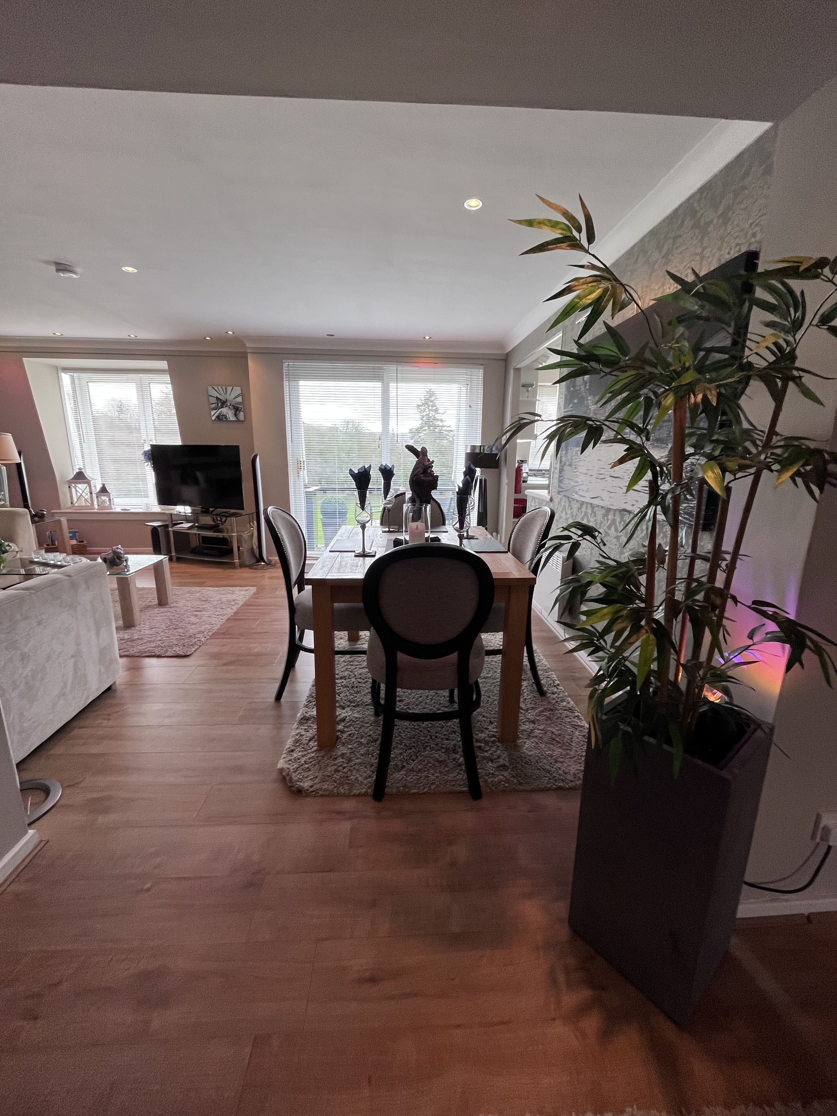 A dining area with a table, chairs, a potted plant, and a television in the background.