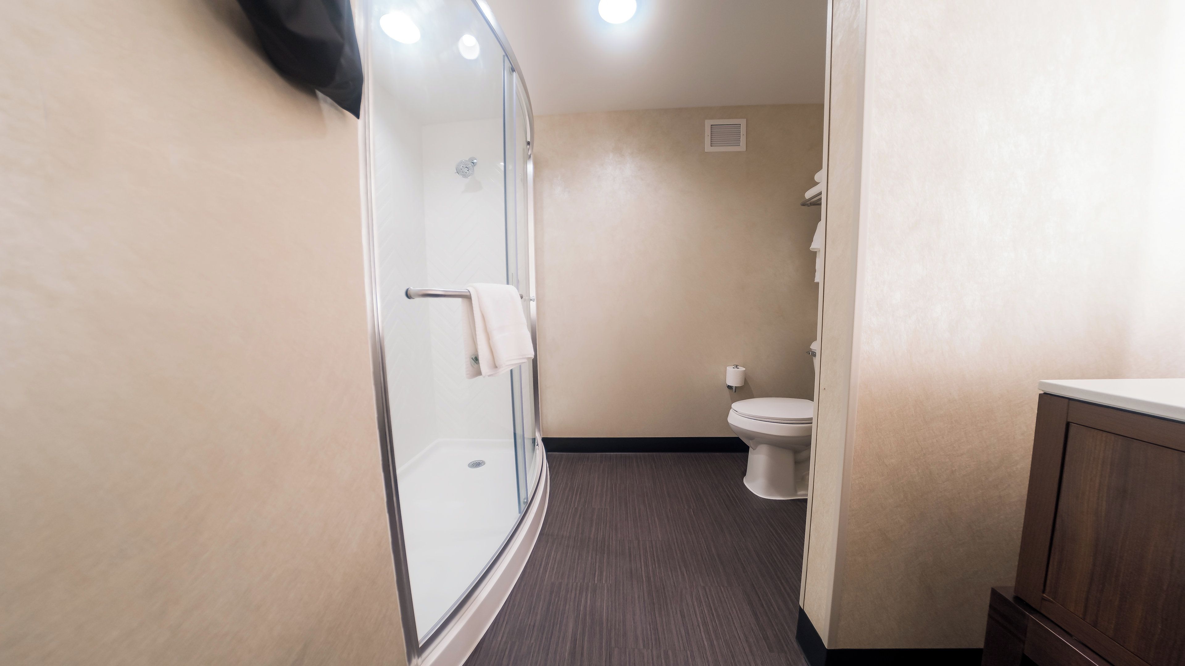 A bathroom with a glass shower enclosure, a toilet, and a wooden cabinet.