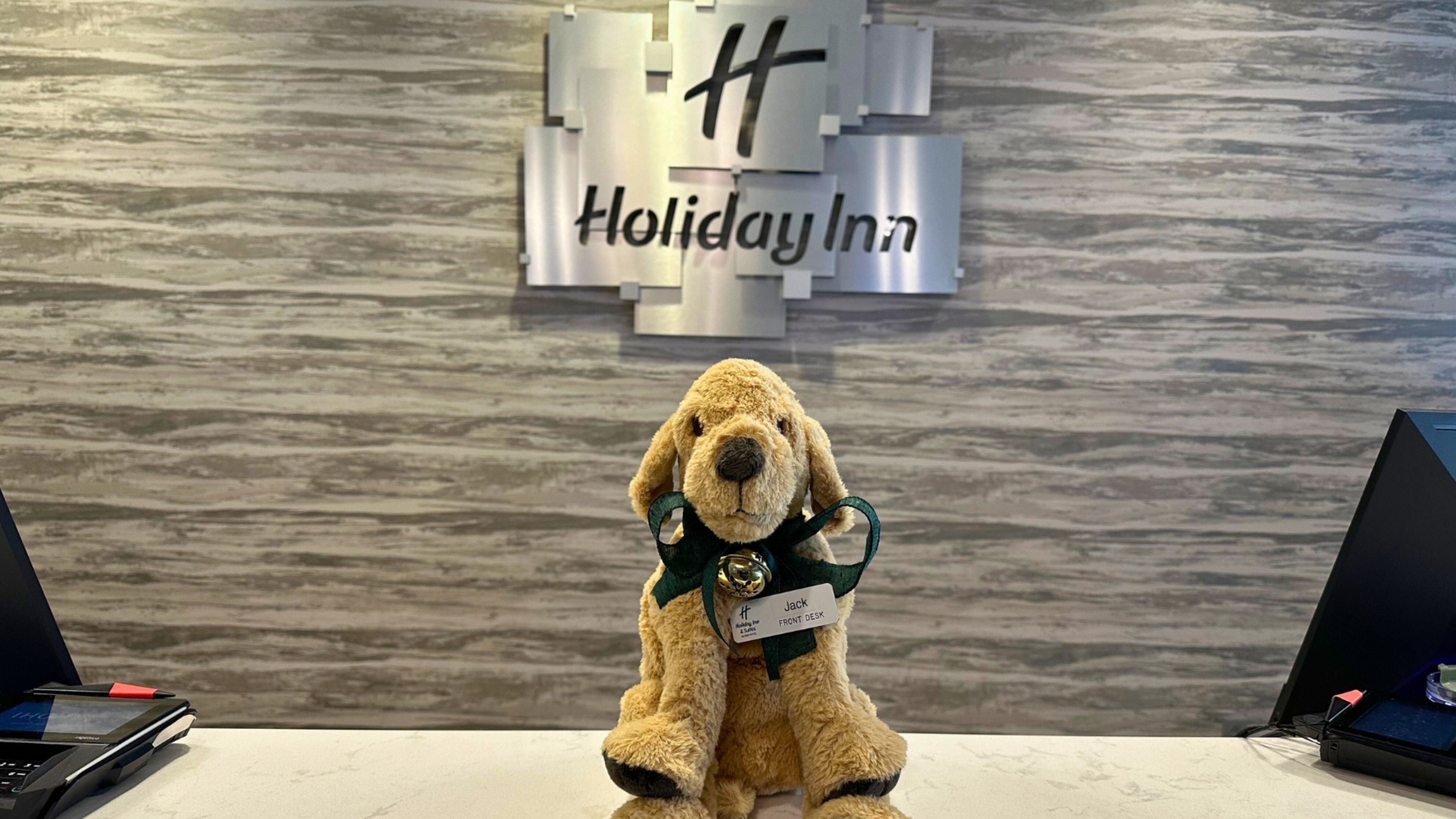 Un simpático perro mascota con una placa de identificación en la recepción de un Holiday Inn.