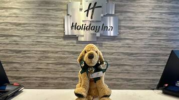 Un simpático perro mascota con una placa de identificación en la recepción de un Holiday Inn.