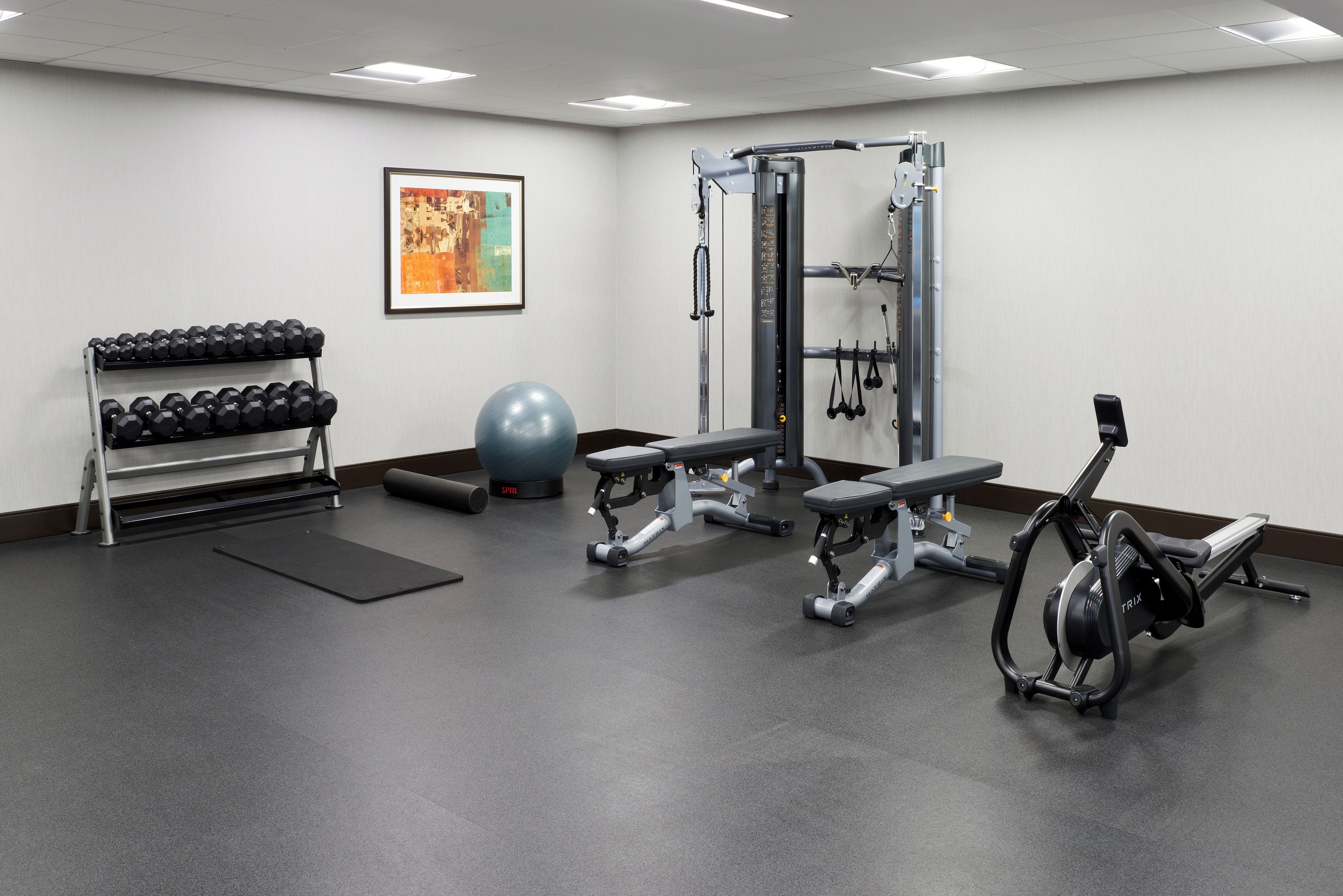 Une salle de sport équipée de matériel d’exercice, d’haltères, d’un banc et d’un ballon.