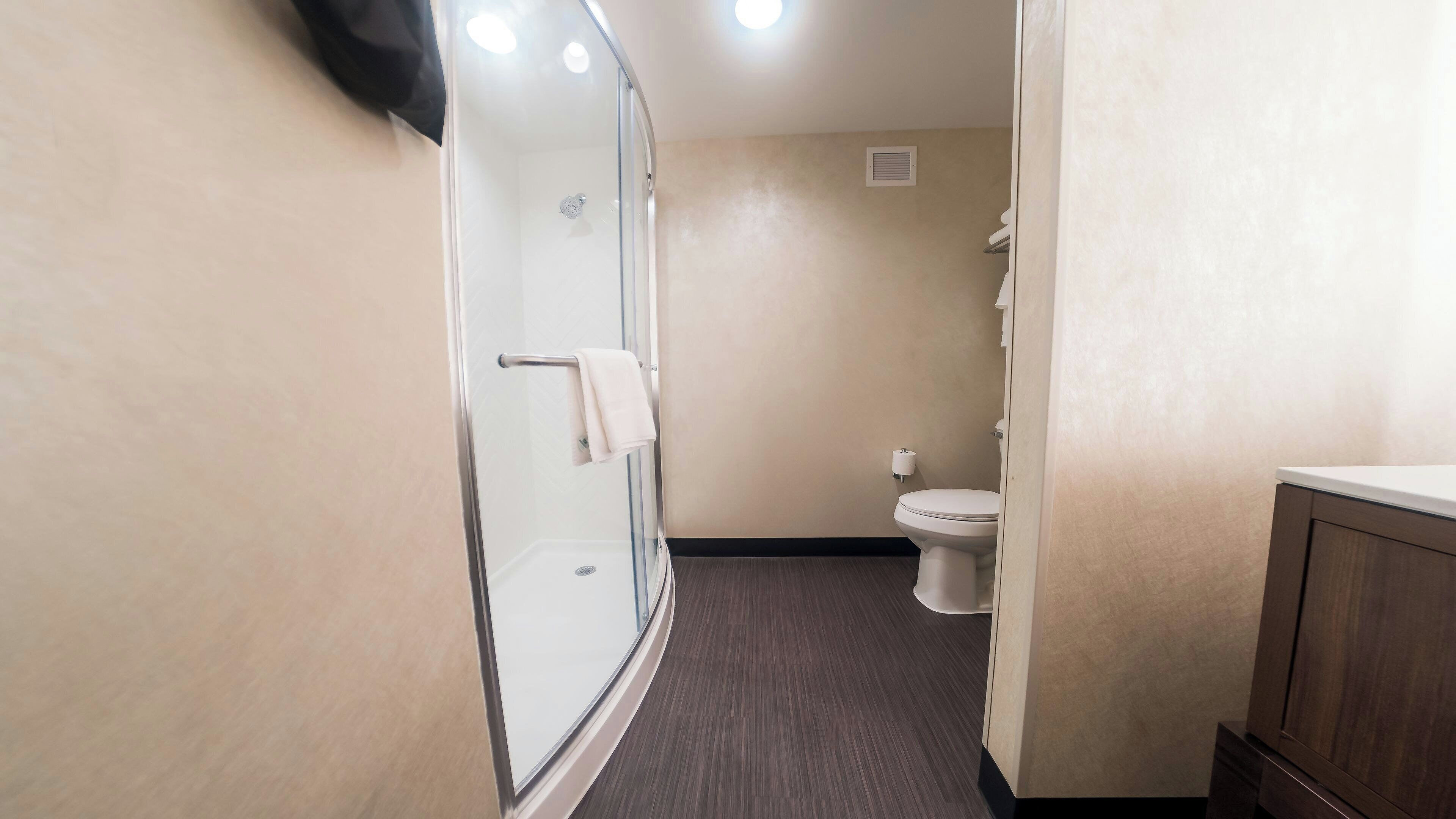 A bathroom with a glass shower enclosure, a toilet, and a wooden cabinet.