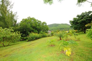 Garden - Le Cabanon (Le Morne Brabant)