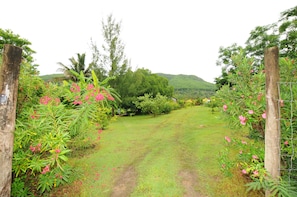 Garden - Le Cabanon (Le Morne Brabant)