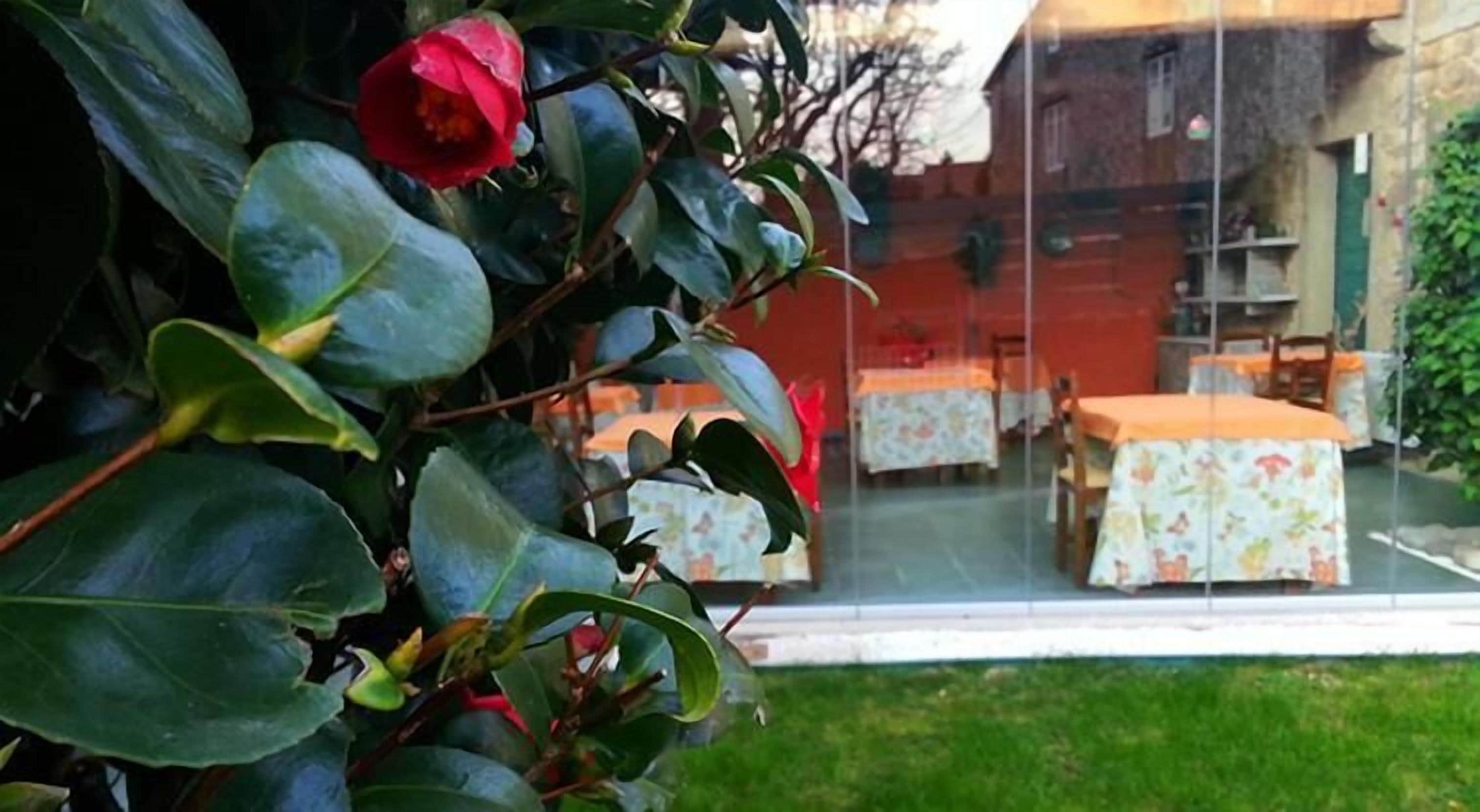 Foto - Casa do Zuleiro