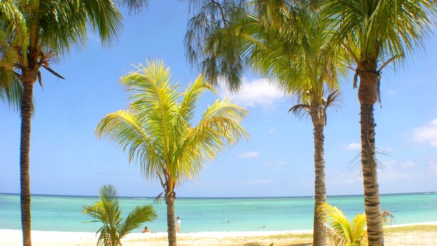 A beach with palm trees and clear blue water. - Villa Alira (Le Morne)