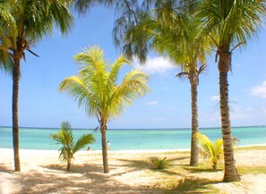 A beach with palm trees and clear blue water. - Villa Alira (Le Morne)