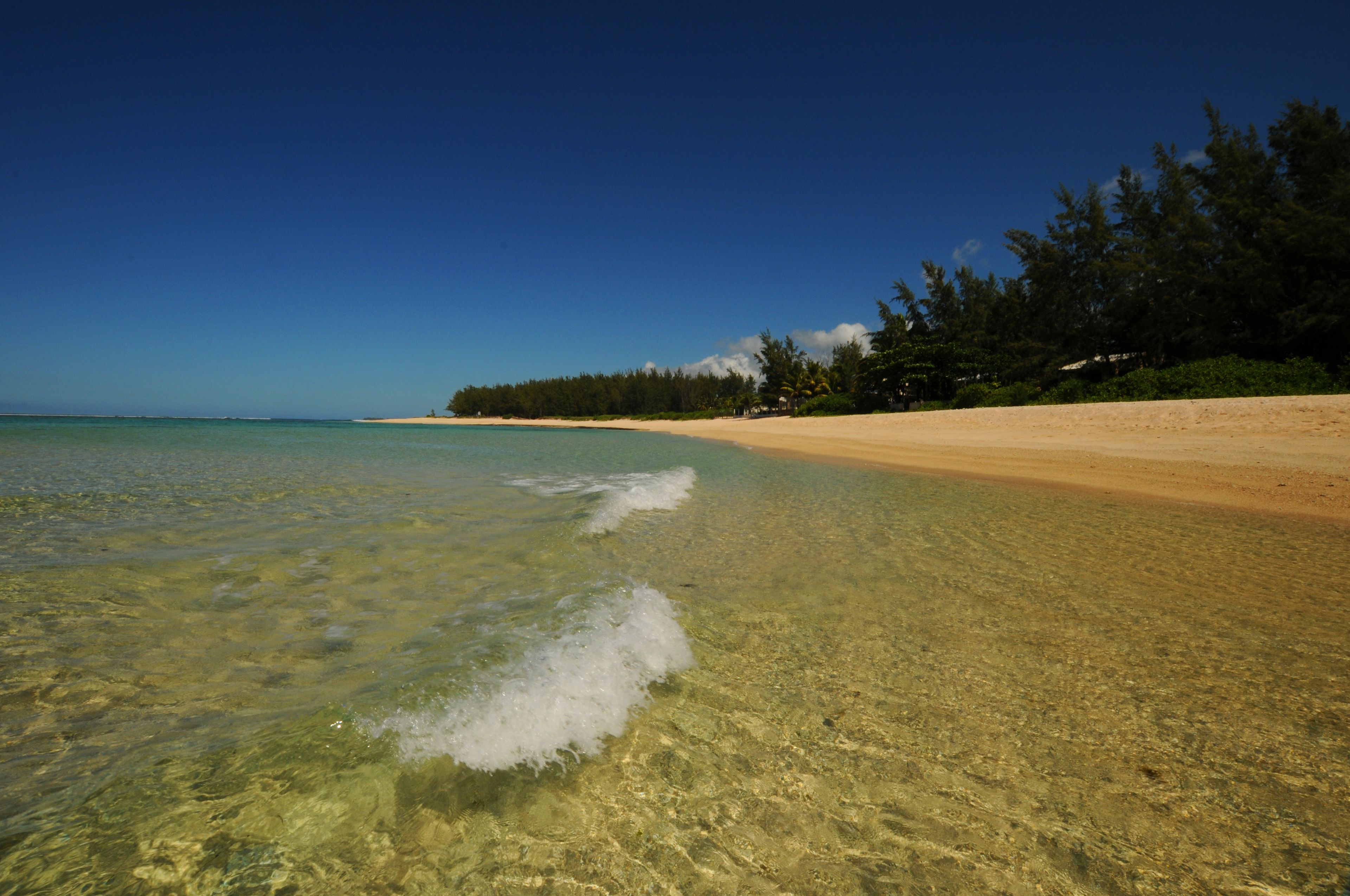 Trên bãi biển, cát trắng 