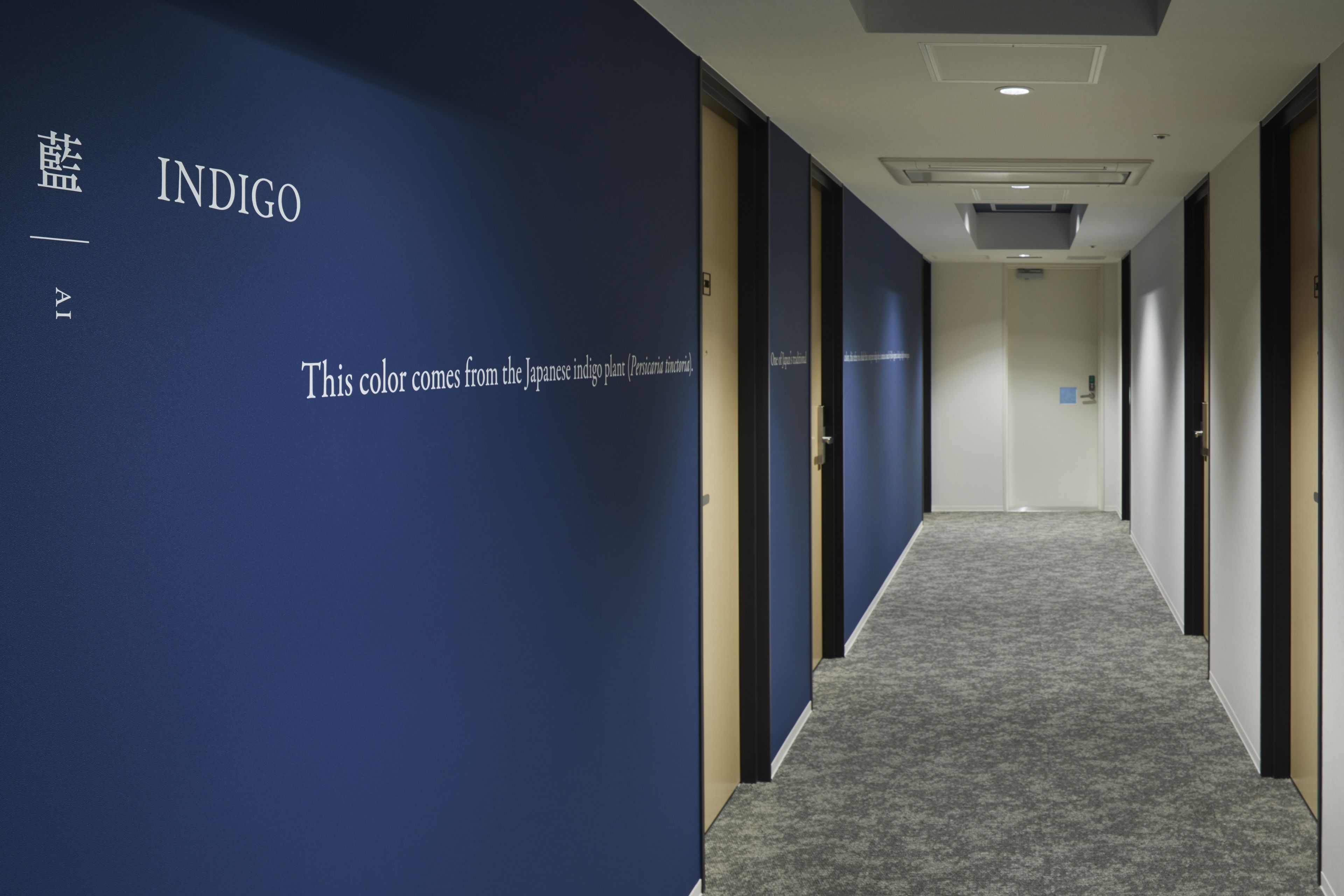 A hallway with blue walls and a carpeted floor.