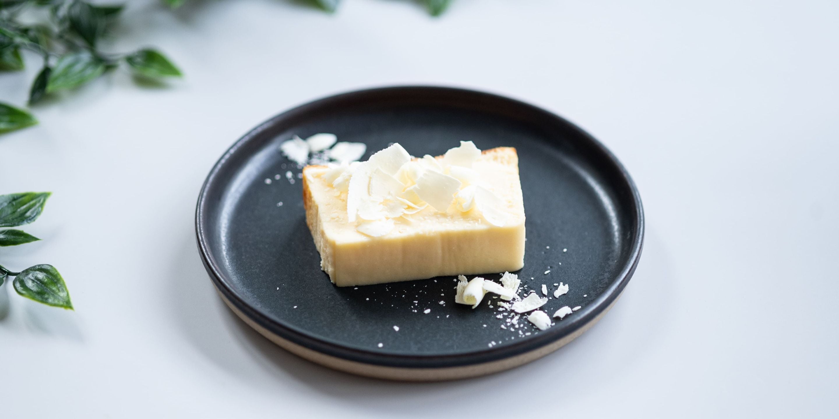 A piece of cheese on a dark plate with some green leaves in the background.