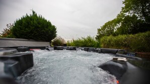A hot tub surrounded by greenery. - Manor House (Lisburn)