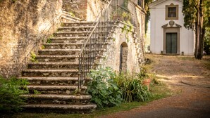 Degraus de pedra levam a um edifício branco com uma cruz no topo, cercado por vegetação.
