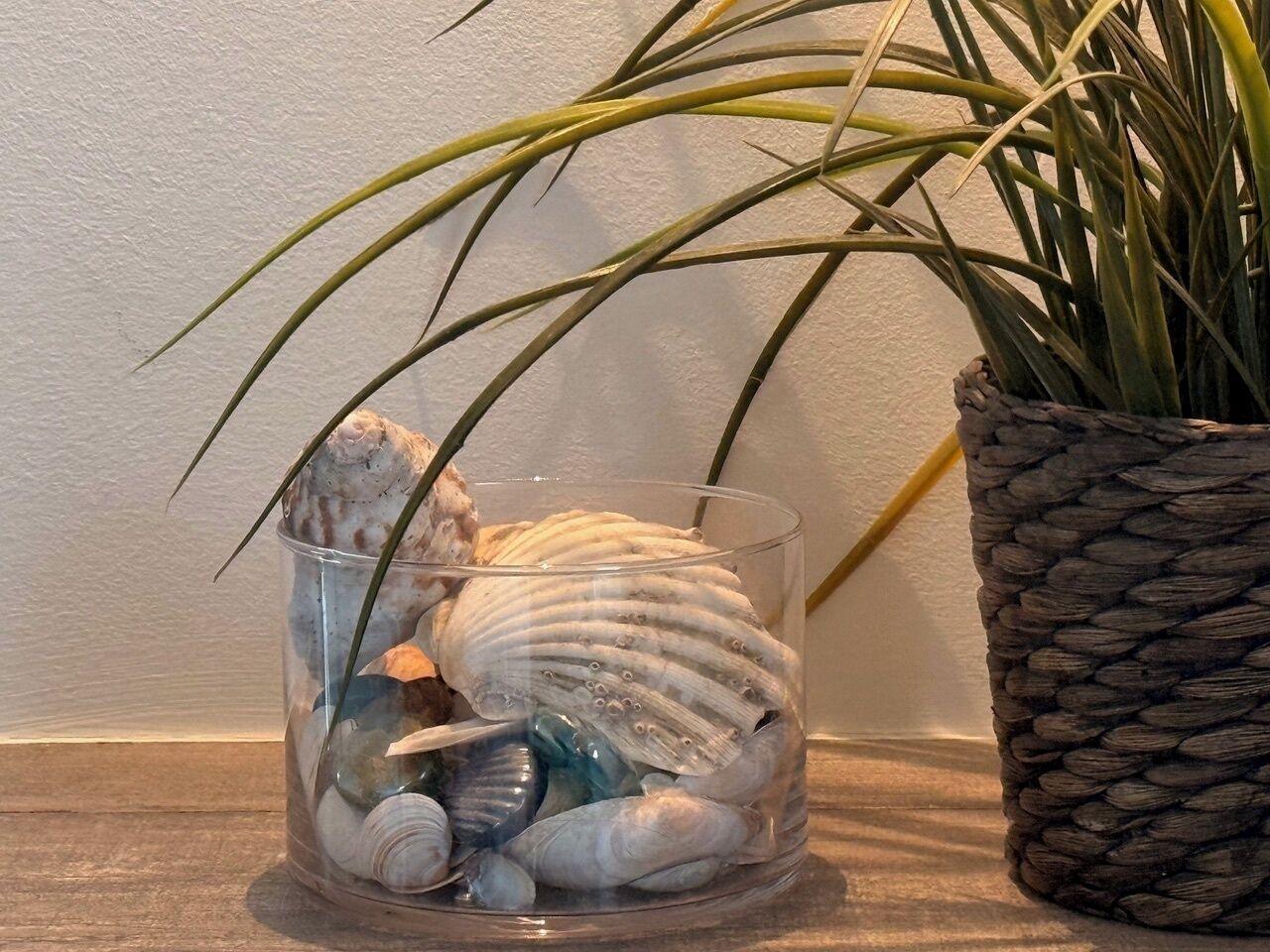 A glass container with seashells and a woven plant pot on a shelf.