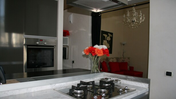 A modern kitchen with a built-in gas stove, stainless steel appliances, and a marble countertop. - Luxury Rose (Florence)