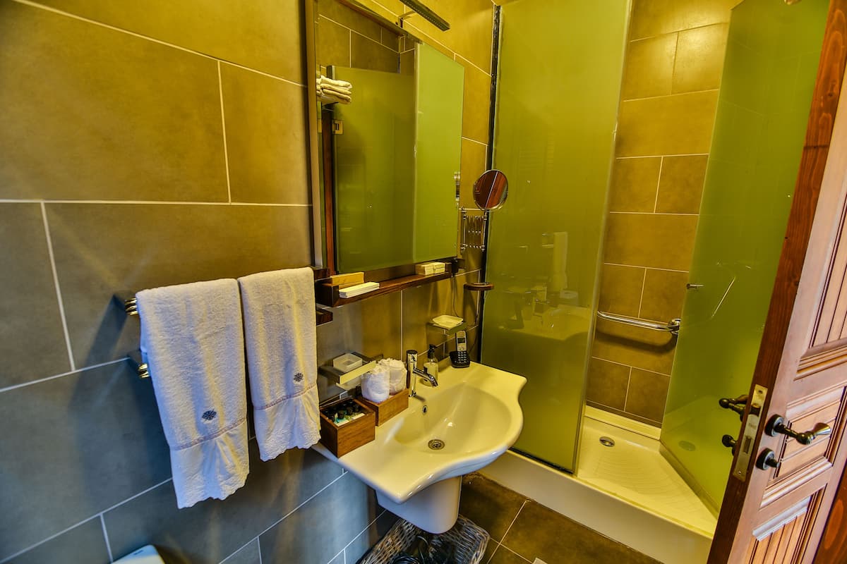 royal double room | bathroom | shower, free toiletries, hair dryer, bathrobes