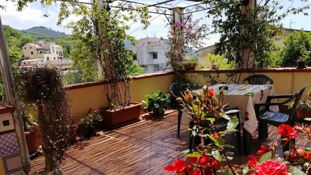 Une terrasse en bois agrémentée de plantes en pot et d’une table avec des chaises.