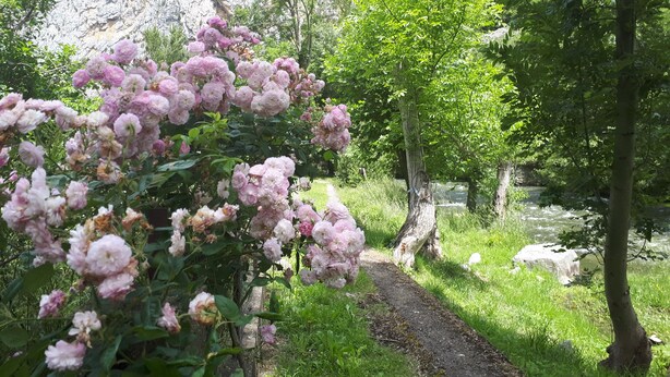 A garden with a pathway leading to a rocky cliff. - L'Envolée (Belvianes-et-Cavirac)
