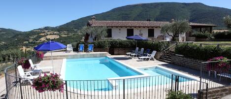 Seasonal outdoor pool, open 8 AM to 8 PM, pool umbrellas, pool loungers