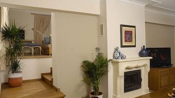 A living room with a fireplace, a television, and two potted plants.