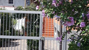 Una entrada protegida con un camino de piedra que conduce a un edificio con techo de tejas.