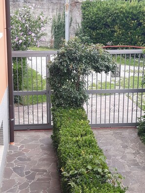 A well-maintained hedge forming a gate, with a stone-paved entrance and a metal gate.
