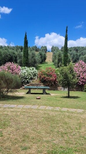 Exterior - Agriturismo Podere Casalone (Capraia e Limite)