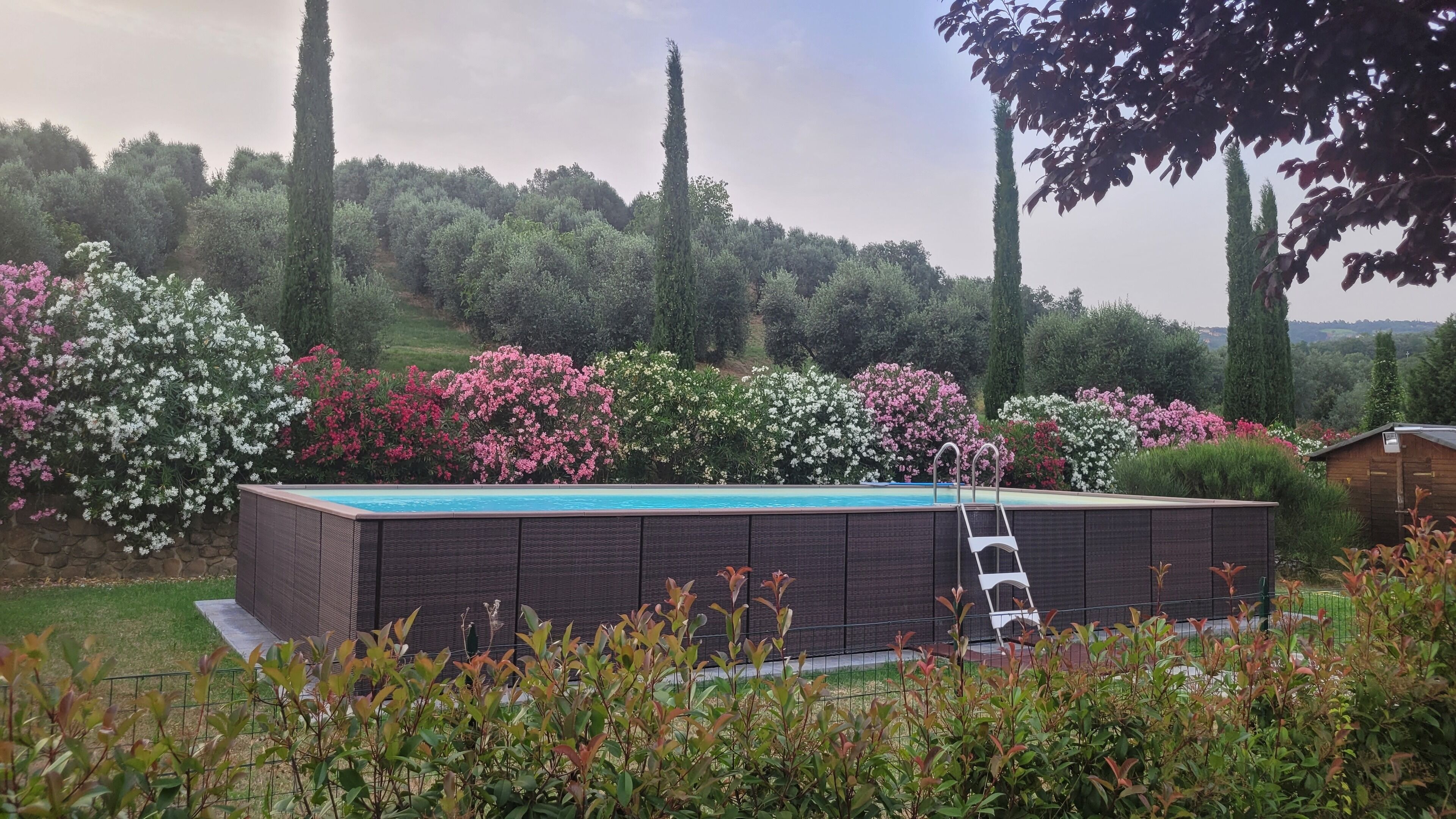 المنشأة من الخارج