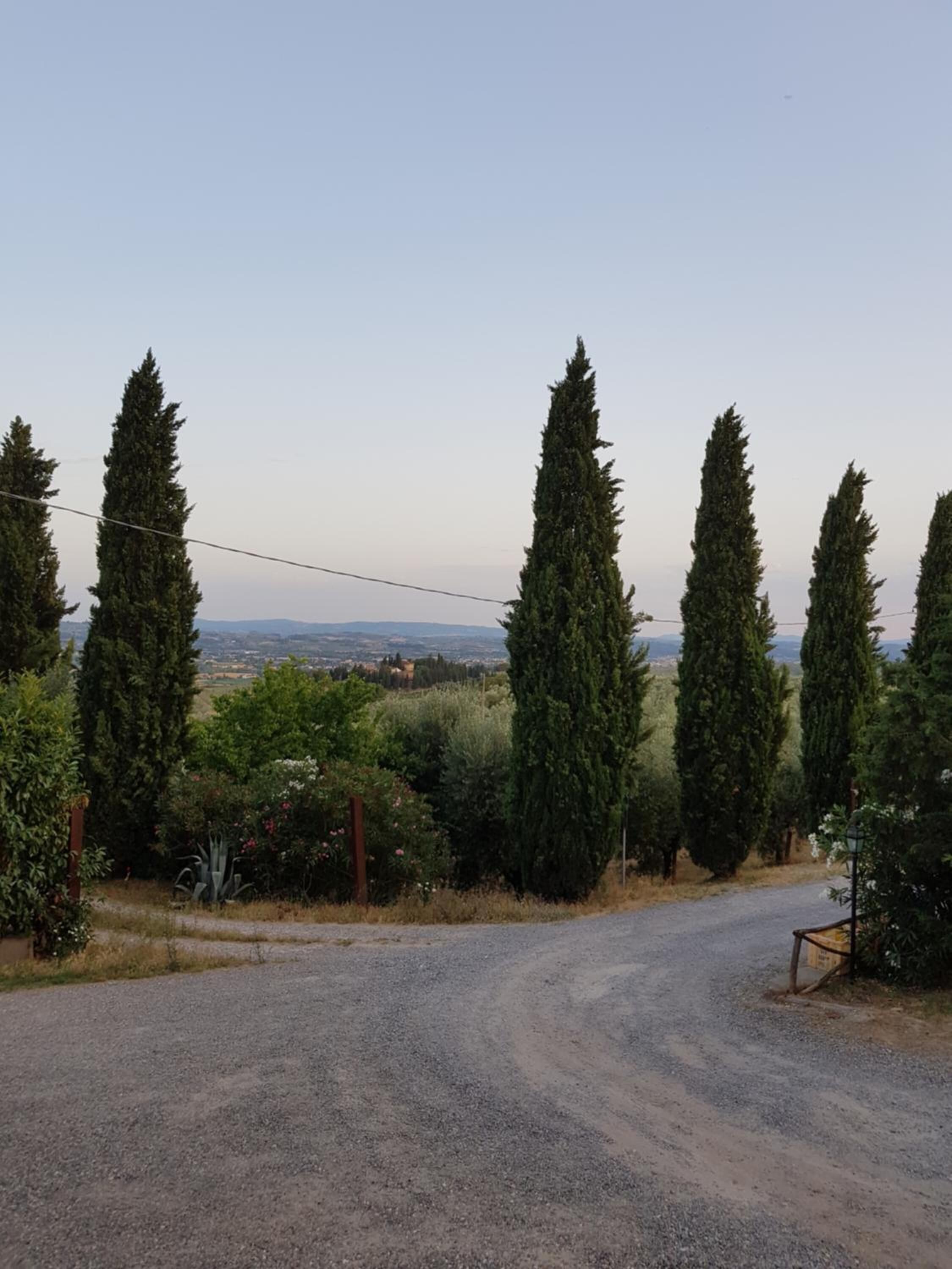 A gravel road leading through a rural area with tall cypress trees and a view of distant hills.