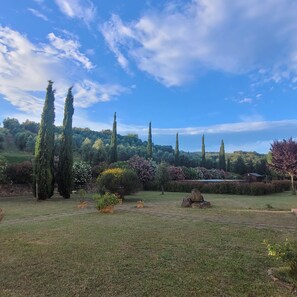 Exterior - Agriturismo Podere Casalone (Capraia e Limite)