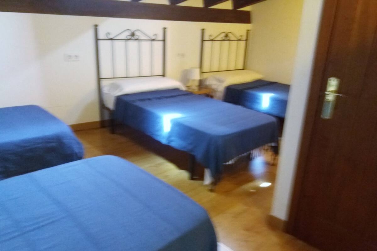 A room with two single beds, wooden flooring, and a wooden ceiling structure.